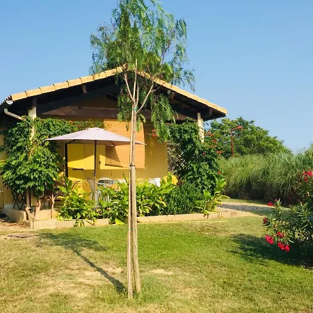 Holiday home Les De Pailhes
